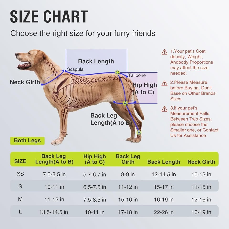 Recovery pool for dogs -L