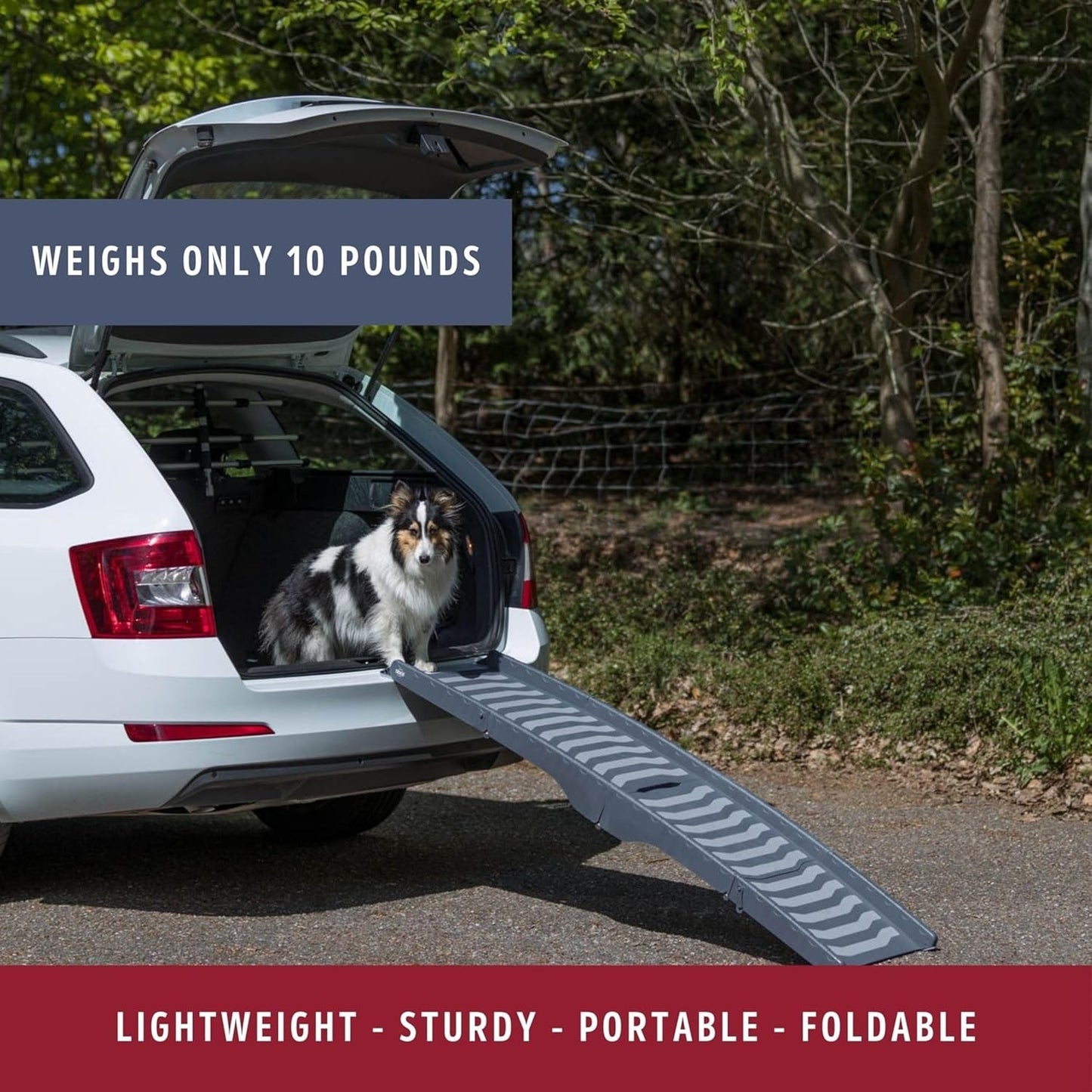 TRIXIE 59-in Pet Ramp for Small to Medium Dogs up to 55 lbs, Foldable and Lightweight Easy to Store, Foldable Ramp